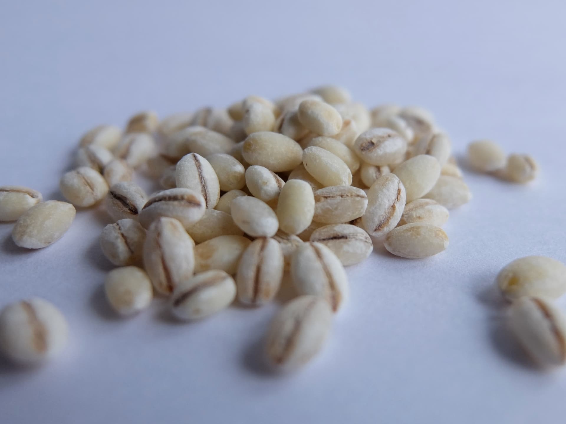 丸麦